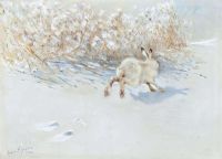 Liljefors Bruno Winter Hare canvas print