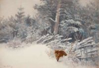 Liljefors Bruno Winter Landscape With Fox canvas print
