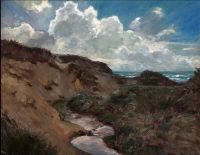 مشهد ساحلي من Locher Carl مع الكثبان الرملية