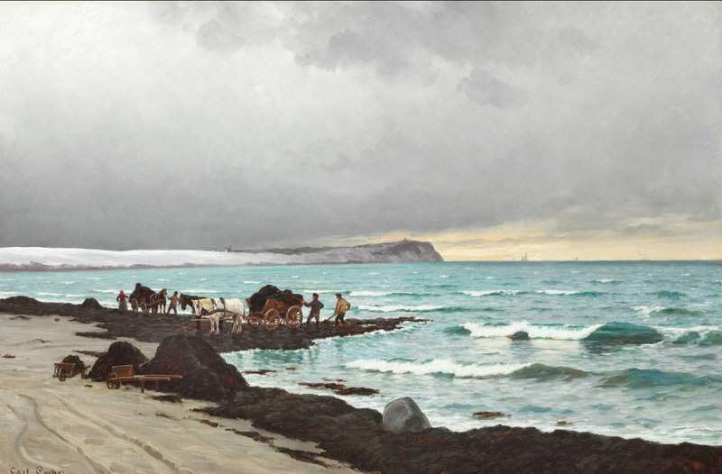 Locher Carl Collecting Seaweed On The Beach At Hornb K canvas print