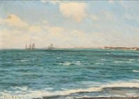 Locher Carl Ships Off The Coast Of Skagen 1902 canvas print