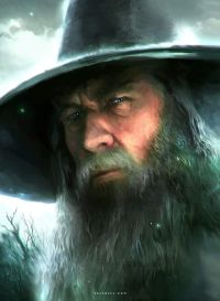 Lotr Gandalf The Wise