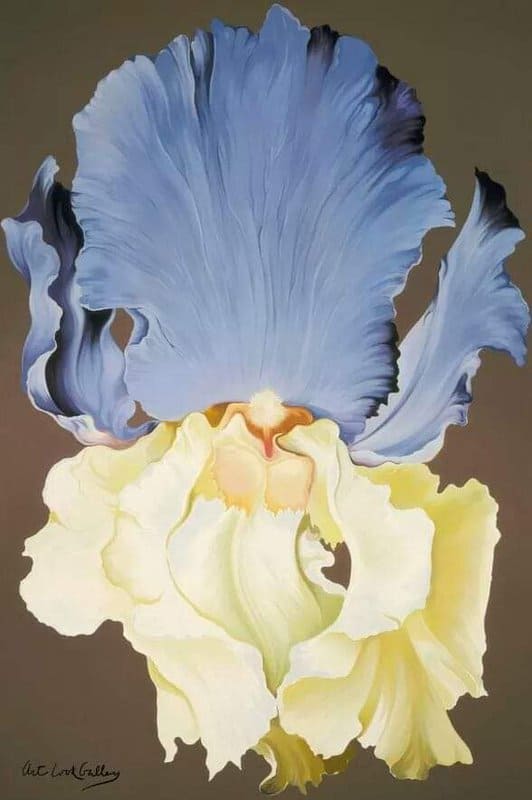 Tableaux sur toile, reproduction de Lowell Nesbitt Yellow And Blue Iris 1973