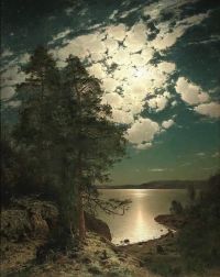 Magnus Hjalmar Munsterhjelm Moonlit Night canvas print