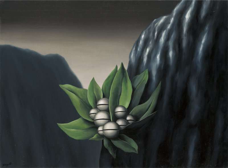 Magritte Rene Les Fleurs De L Ab Me 1928 canvas print