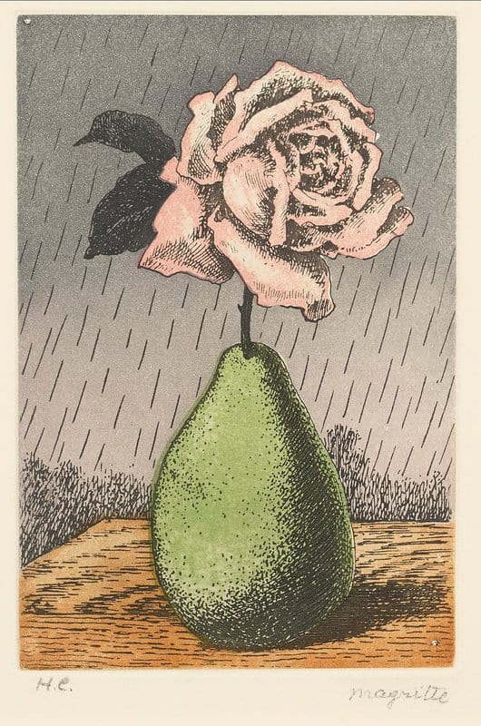 Magritte Rene Poire Et Rose From Moyens D Existence canvas print