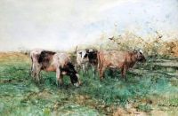 طباعة قماش ماريس جاكوب لرعي الماشية