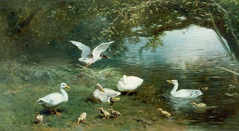 Maris Jacob Eendenfamilie Met Kuikentjes Aan De Waterkant 1870 canvas print