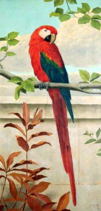 Marks Henry Stacy Red And Blue Macaw 1886 canvas print