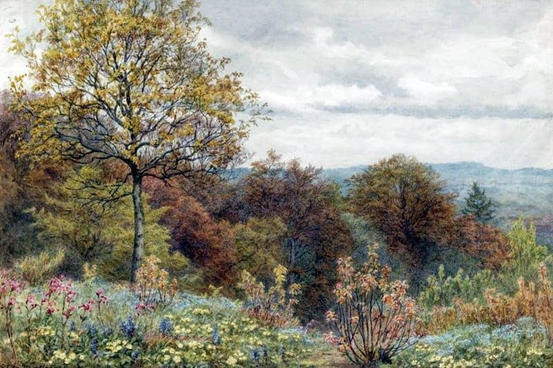 Martineau Edith A Copse On The Slope Of Blackdown Dorsetshire canvas print