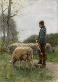 Malvenfarbener Leinwanddruck Anton A Shepherd And His Flock