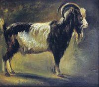 Mauve Anton Study Of A Billy Goat Leinwanddruck
