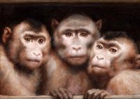 Max Gabriel Cornelius Von Three Monkeys canvas print