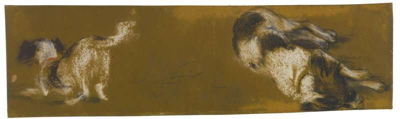 Menzel Adolph Friedrich Erdmann Von Schotte Studies Of The Artist S Dog 1851 canvas print
