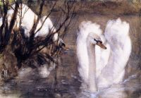 Menzel Adolph Friedrich Erdmann Von Two Swan
