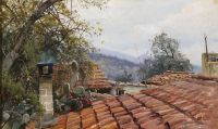 Monsted Peder A Cactus Growing On The Old Rooftops In Italy