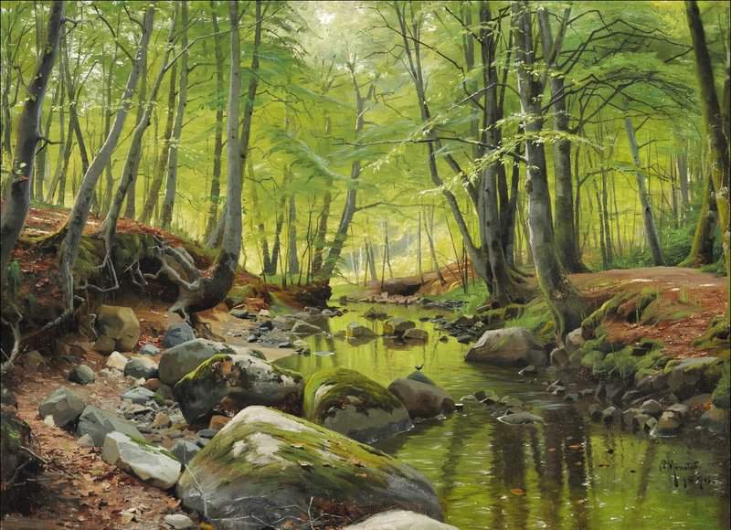 Monsted Peder A Stream Running Through A Beech Forest On A Spring Day 1890 canvas print