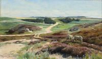 Monsted Peder A View Of Grazing Sheep On The Heath Near S By With Gjeddebjerget In The Distance 1922 canvas print