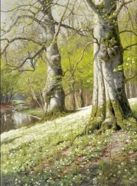 Monsted Peder Anemones   A Spring Morning 1901 canvas print