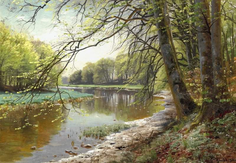 Monsted Peder Brook In A Spring Forest With Beech Trees Becoming Green 1901 canvas print