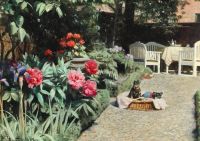 Monsted Peder Courtyard Exterior With Two Puppies On A Summer Day 1932 canvas print