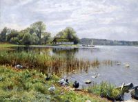 Monsted Peder Ducks By A Pond canvas print