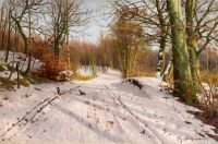 Monsted Peder Forest Path In Winter 1917