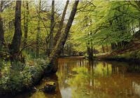 Monsted Peder River fließt durch einen ruhigen Wald 1904