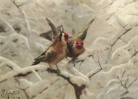 Monsted Peder Stillits Birds In Wintertime   Carduelis Carduelis 1918 canvas print