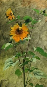 Monsted Peder Study Of Sunflowers 1919