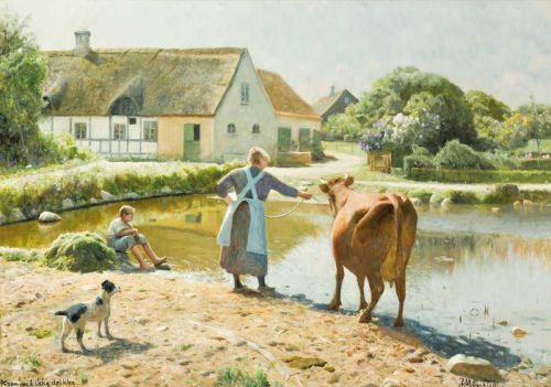 Monsted Peder The Cow Refuses To Drink canvas print