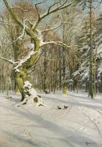Monsted Peder Tracks Through The Forest 1902 canvas print