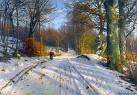 Monsted Peder Winter Landscape 1917 1 canvas print
