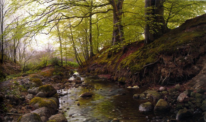 Monsted Vandlob I Skoven Stream In The Woods 1905 canvas print