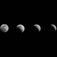 Impresión en blanco y negro de las fases de la luna