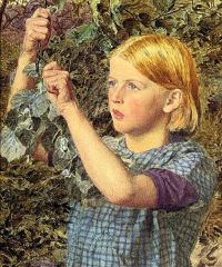 مور ألبرت جوزيف فتاة تجمع المكسرات كاليفورنيا 1859