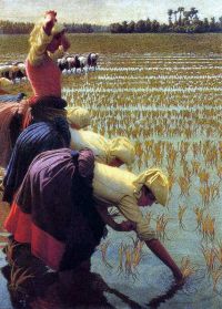 Morbelli Angelo in den Reisfeldern 1901