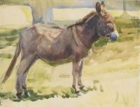 Munnings Alfred James A Donkey canvas print