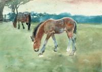 Munnings Alfred James A Foal Grazing Another Horse Behind canvas print