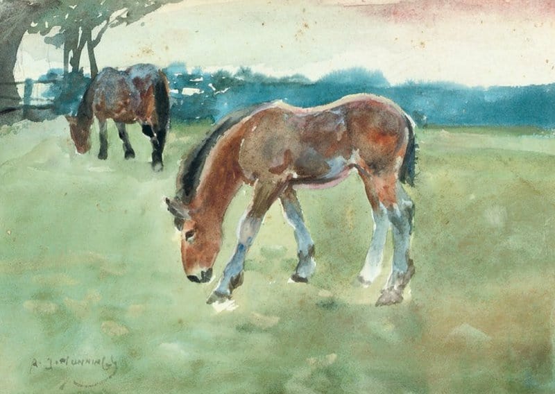 Munnings Alfred James A Foal Grazing Another Horse Behind canvas print