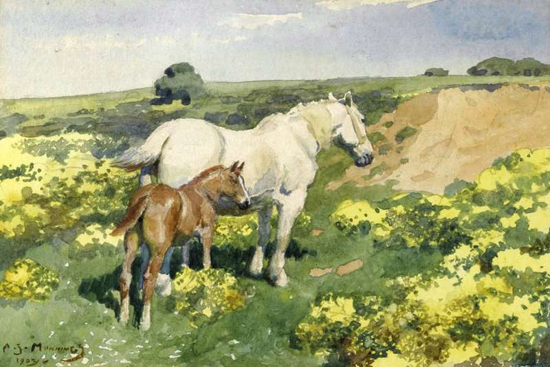 Munnings Alfred James A Mare With Her Foal 1903 canvas print