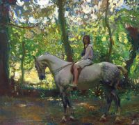 Munnings Alfred James Girl On Horseback canvas print