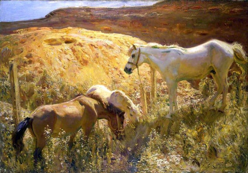 Munnings Alfred James Gravel Pit In Suffolk Ca. 1911 canvas print