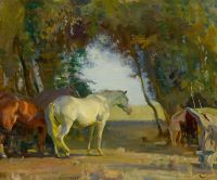 Munnings Alfred James Hampshire Thorn Trees canvas print