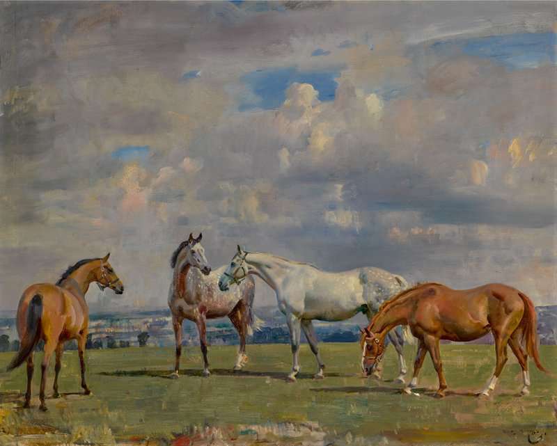 Munnings Alfred James Horses At Grass Ca. 1925 canvas print