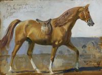 Munnings Alfred James Lady Eleanor Smith S Arab Stallion canvas print