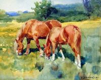 Munnings Alfred James Mare And Foal In A Field 1901 canvas print
