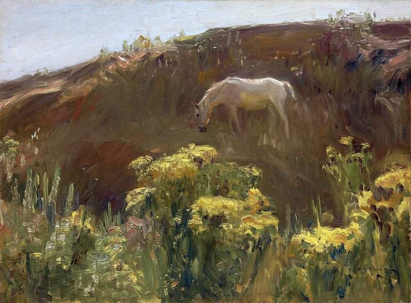 Munnings Alfred James Sunshine And Yellow canvas print