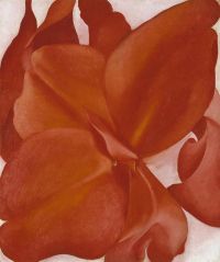 O Keeffe Red Cannas 2 canvas print