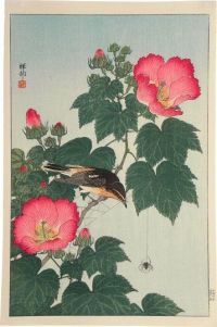 Ohara Koson Fly-catcher On Rose Mallow Watching Spider C.1932